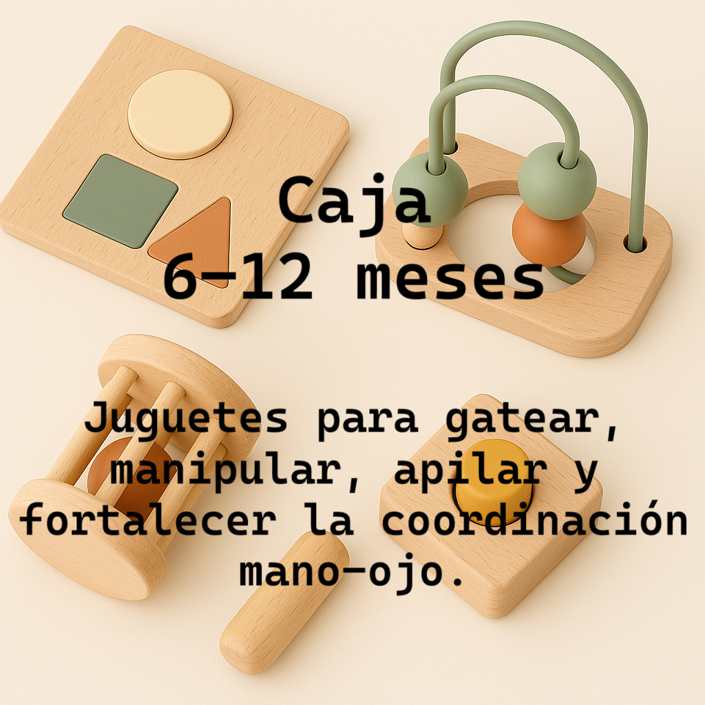 Caja 6-12 meses